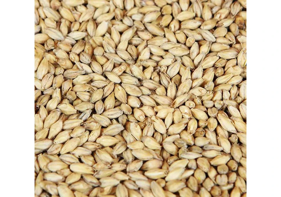 Weyermann Acidulated Malt 1kg Whole