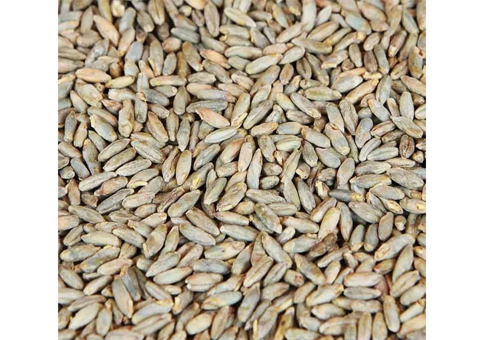 Weyermann Rye Malt 1kg Whole