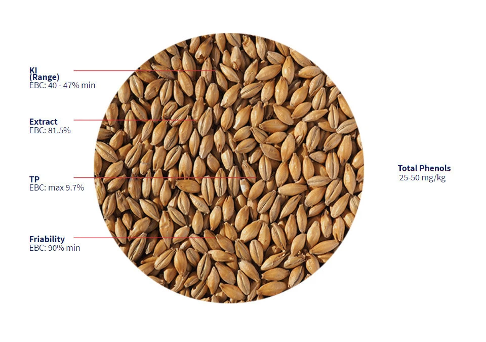 Crisp Scottish Heavy 50 Peat Malt 1kg Whole