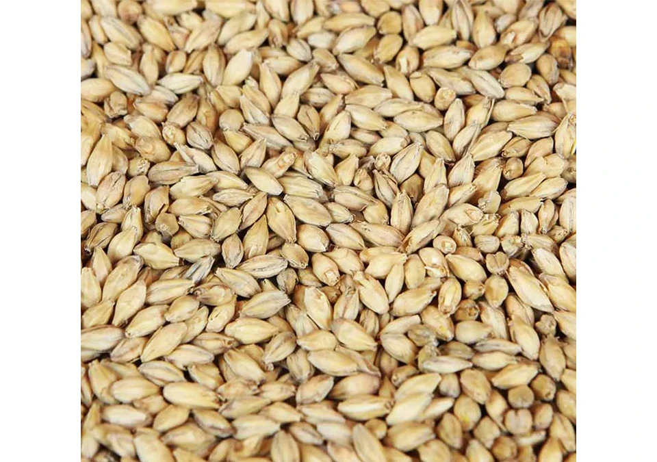 Weyermann Wiener (Vienna) Malt 1kg Whole