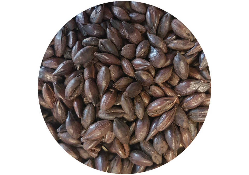Weyermann Roasted Barley 250g Crushed