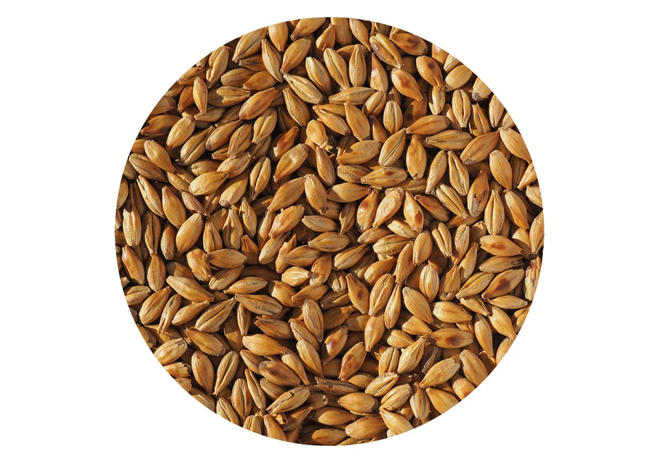 Weyermann CaraAmber Malt 250g Crushed