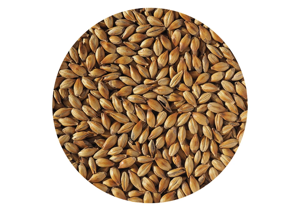 Crisp Crystal 240 Malt 250g Crushed