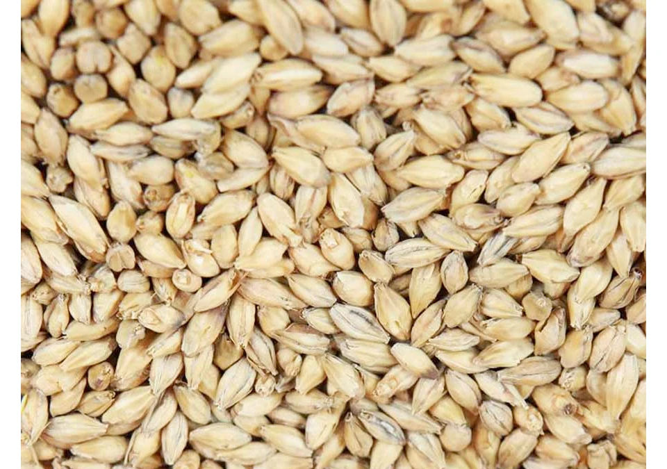 Crisp Extra Pale Ale Malt 1kg Whole