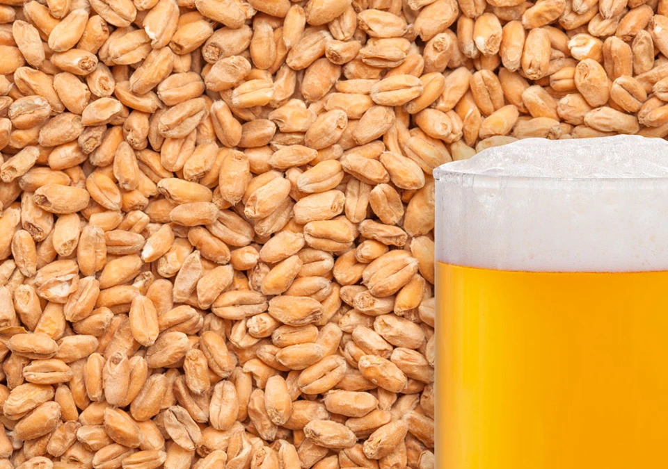 Weyermann Wheat Malt 250g Crushed