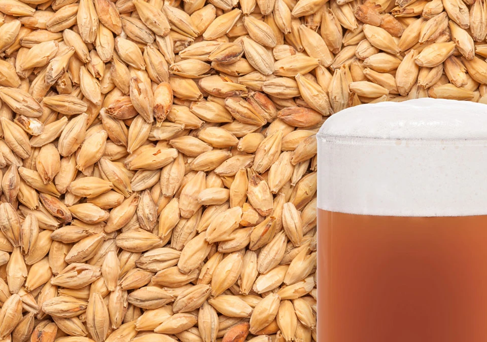 Weyermann Munich Malt 250g Crushed